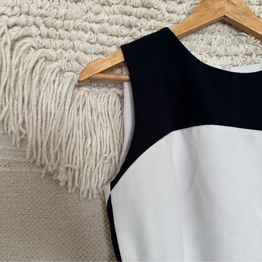 Milly Colorblock Dress - Picture 2 of 8
